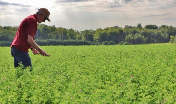 Jason Cavadini in field