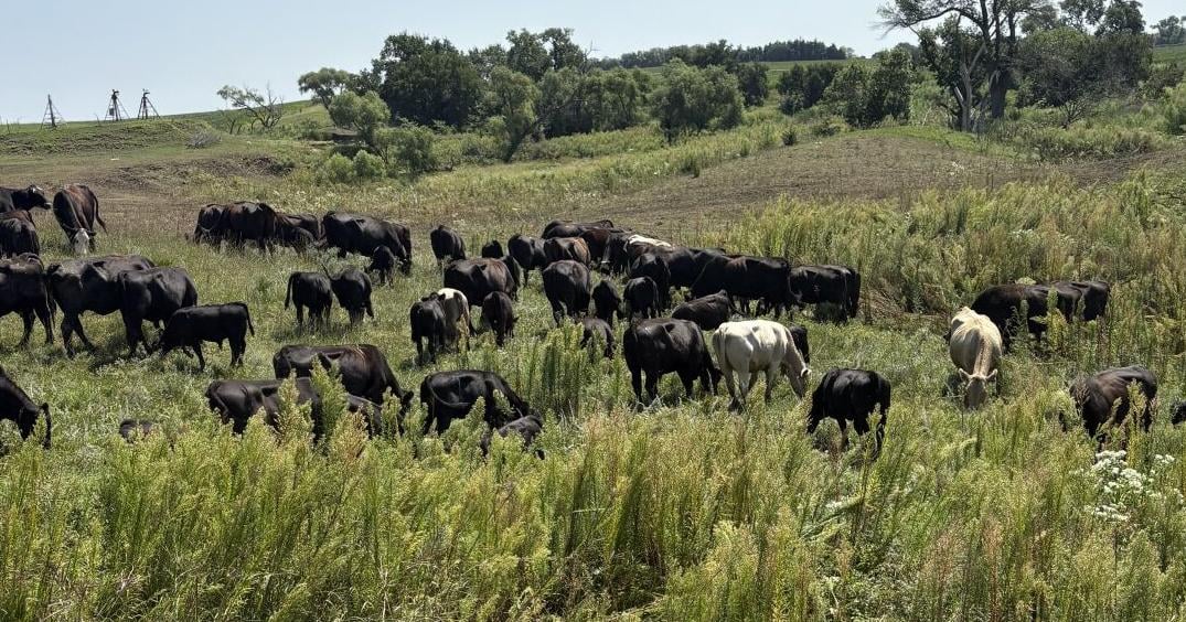 Soil work: Four years of building soil health pays off in yields