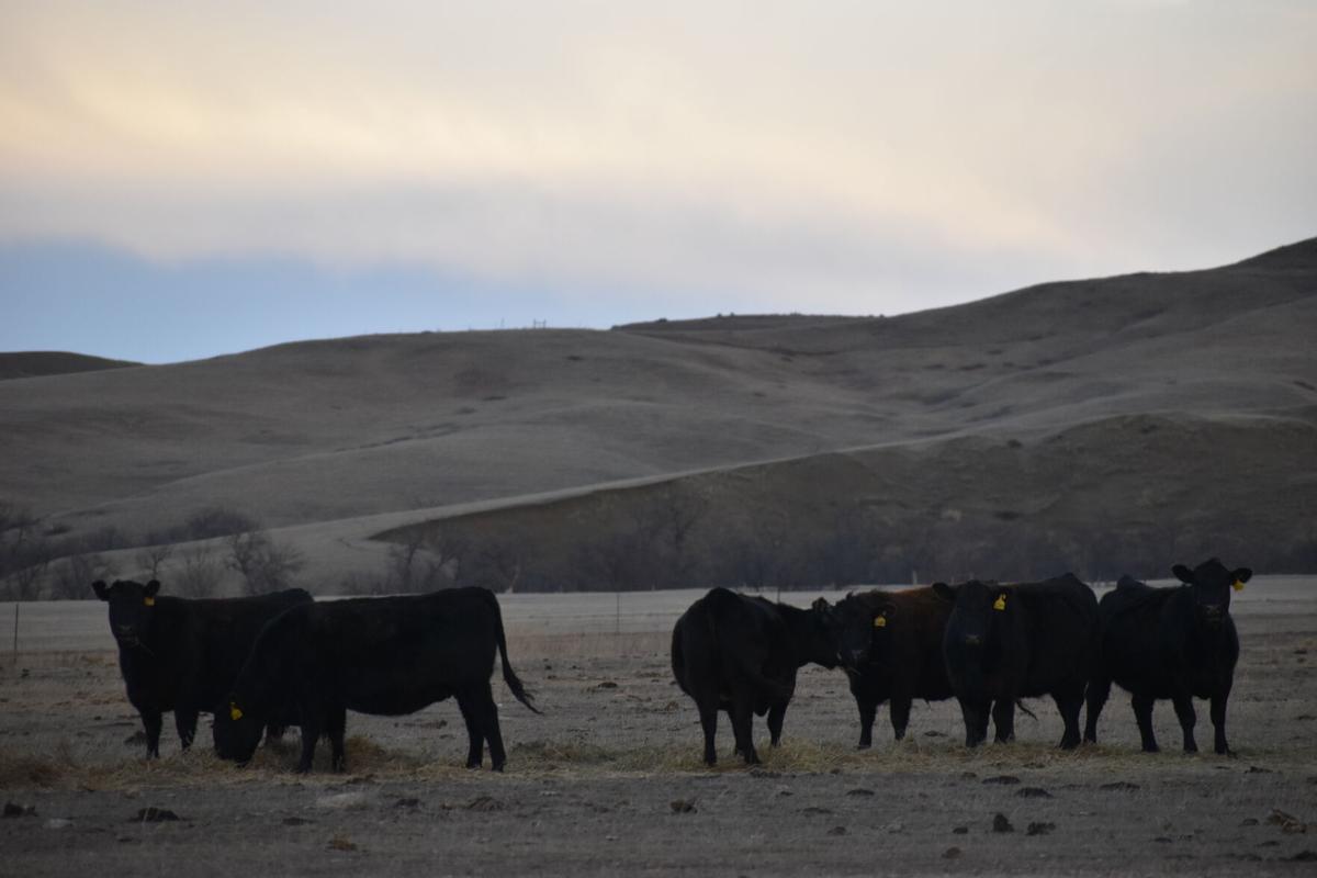 Ranch Research Proposed Cottonwood Station upgrades said to benefit