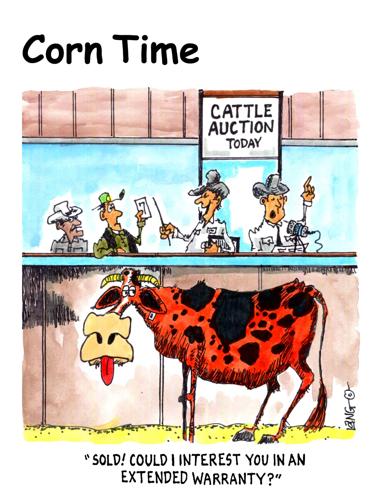 Corn Time by Bob Lang