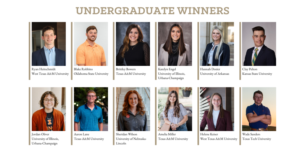 Category Winners - Undergraduate