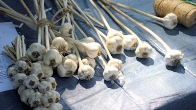 Garlic on table