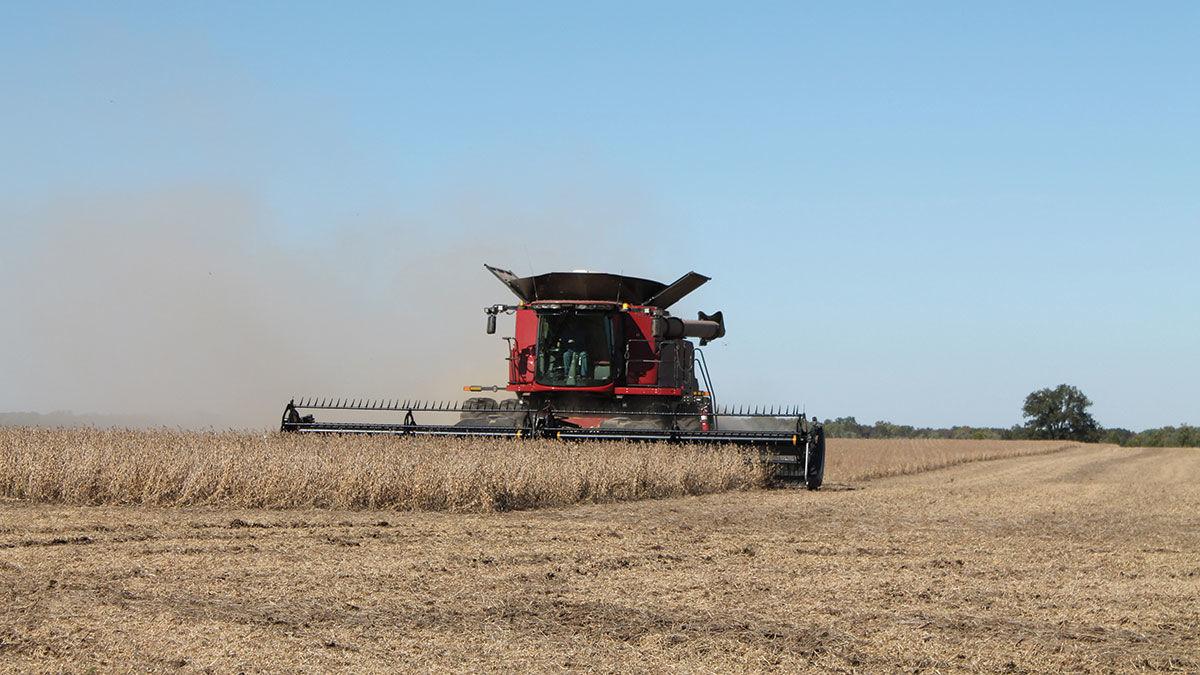 Barry Imgarten harvests a field of soybeans