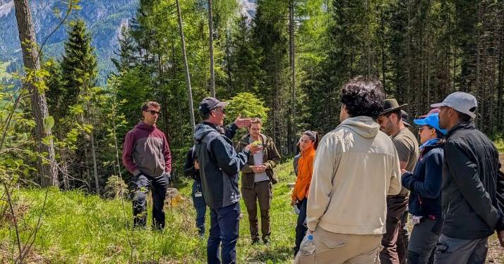 Explore worldwide climate-smart forestry