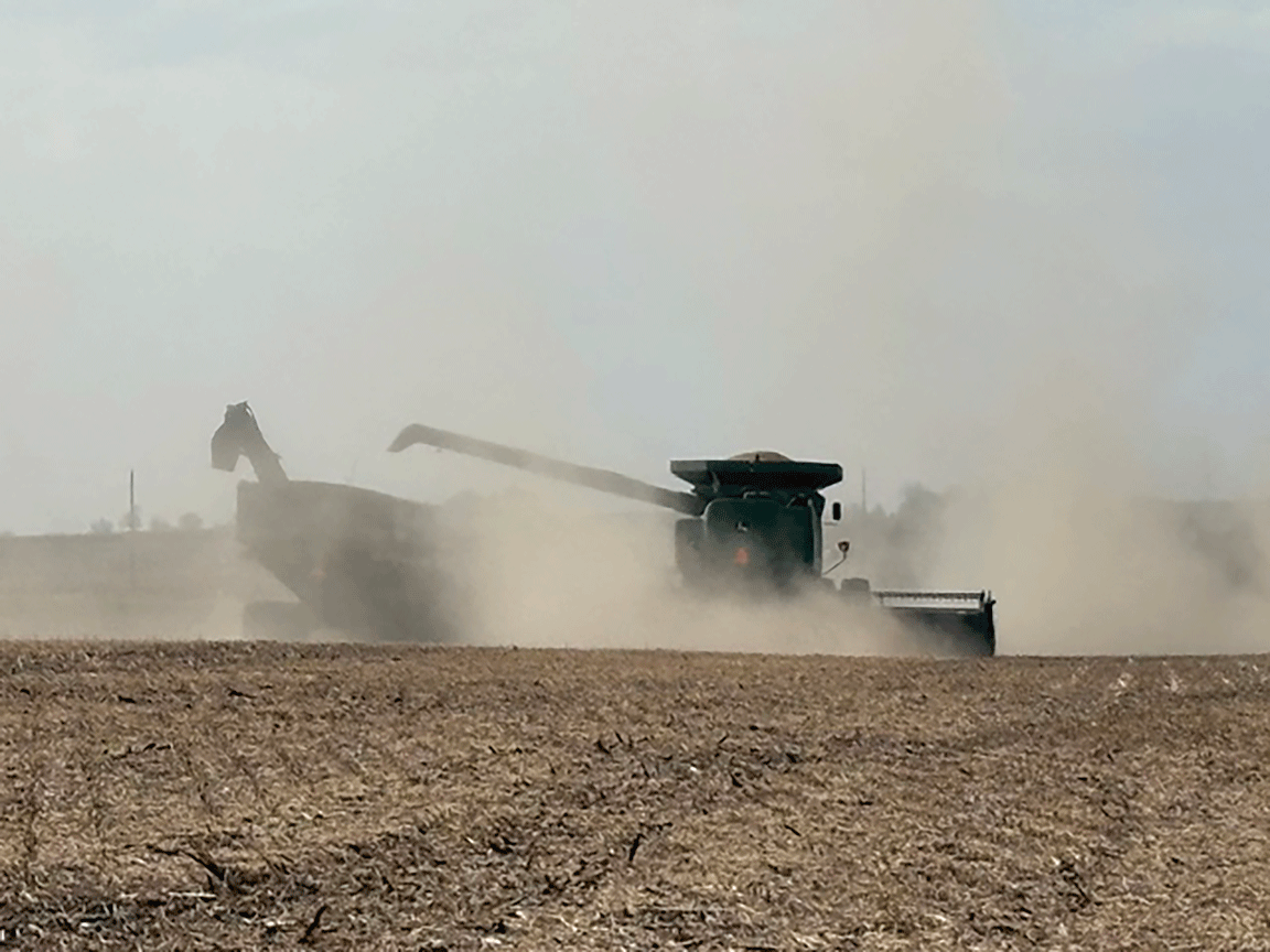 harvest dusty field