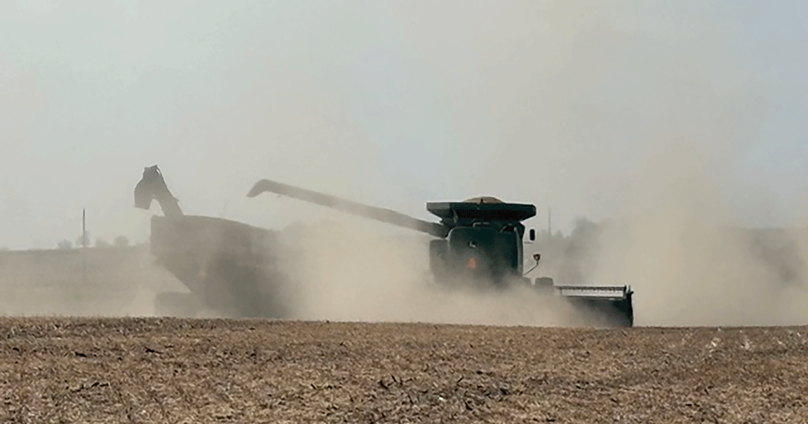 harvest dusty field