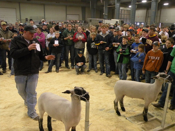Sioux Empire Farm Show judging contest