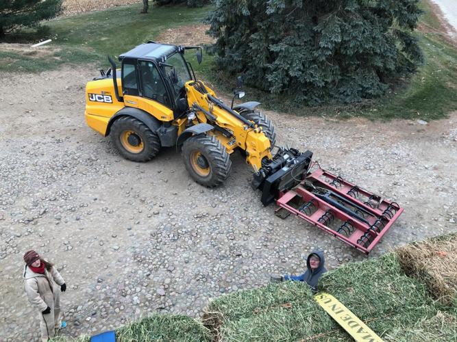 Alfalfa market 2.jpg