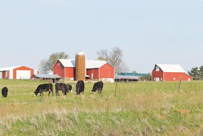 Rural scene