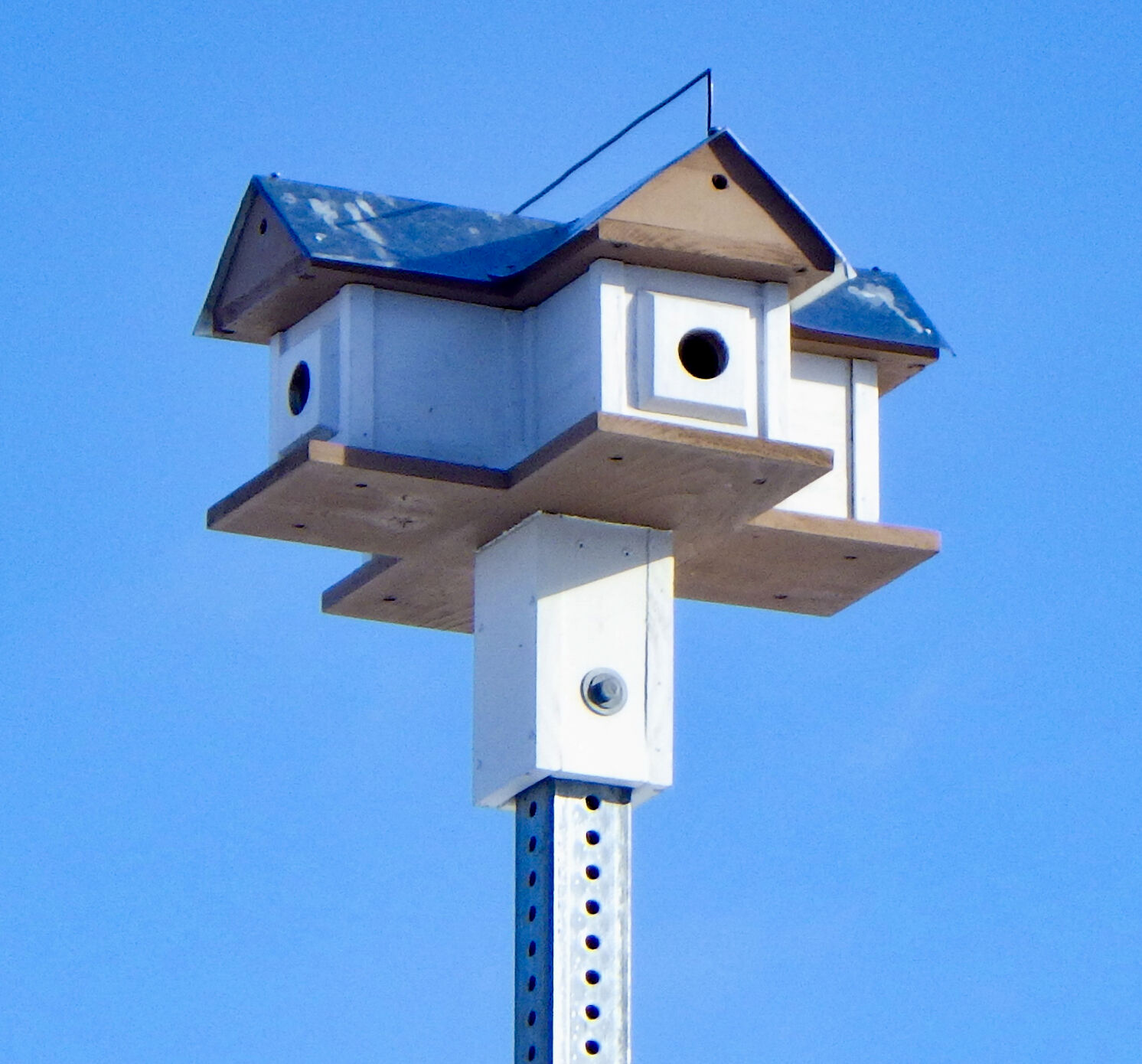 Purple martin house