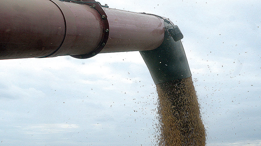 Soybeans are loaded into a grain cart