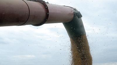 Soybeans are loaded into a grain cart