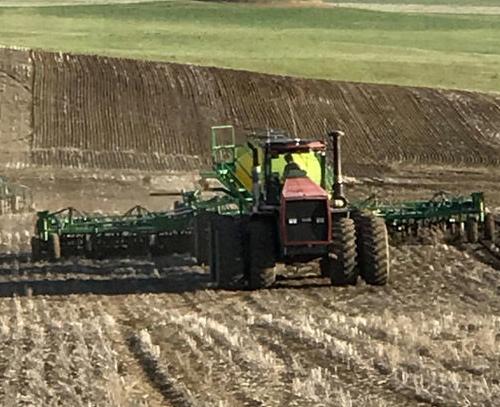 Downs seeding