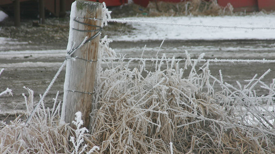 Winter frost