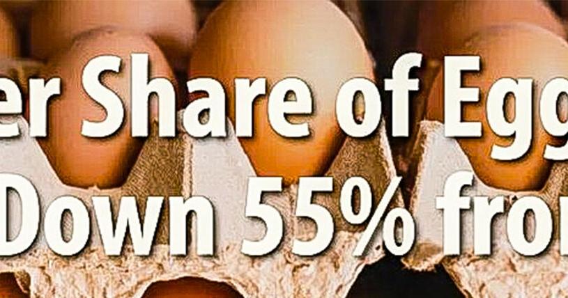 Producers suffer egg woes