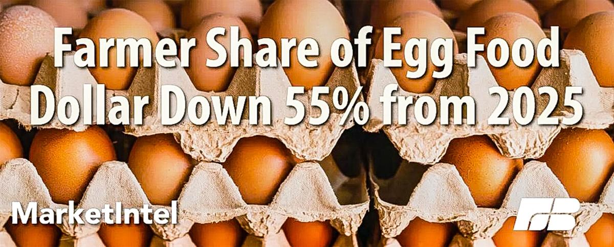 Egg prices