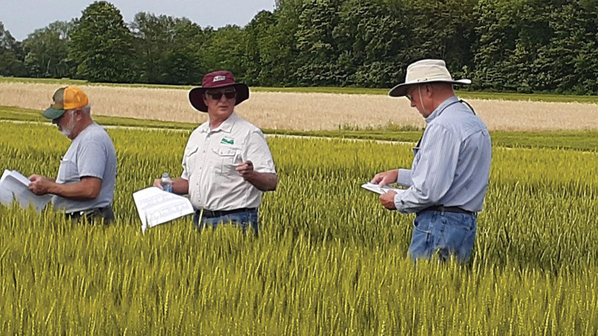 tour of wheat fields in Illinois