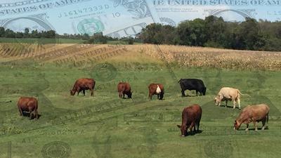 Farm-scene-with livestock -ghosted-money