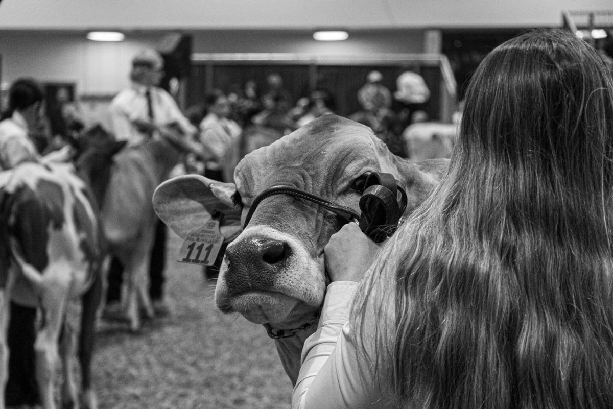 SDSU Dairy Science 1.jpg