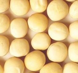 Yellow peas
