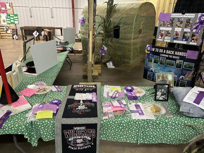 Wayne County 4-H 2.jpeg