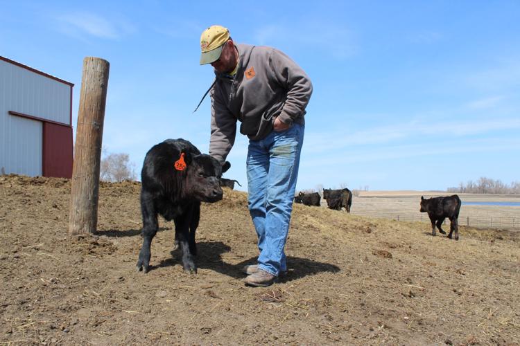 Crop Watcher Wittnebel (64).JPG