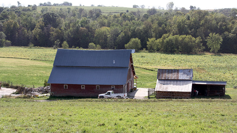old dairy barn