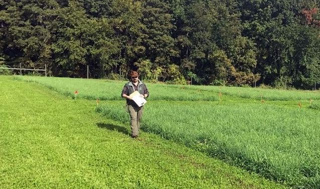 Buck Castillo walks along field