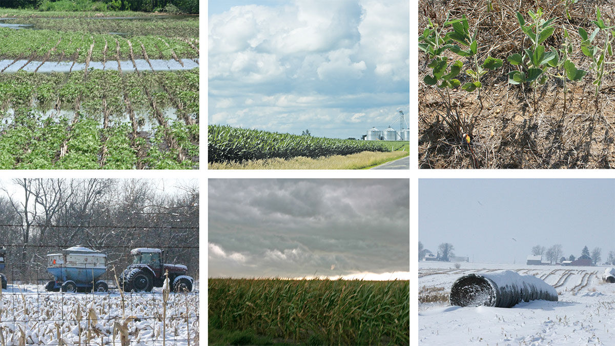 weather-extremes-photo-composite