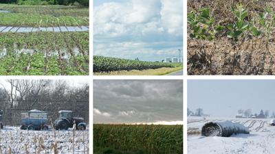 weather-extremes-photo-composite