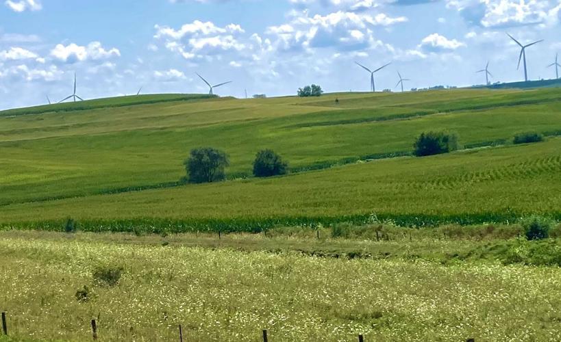Windmills in fields