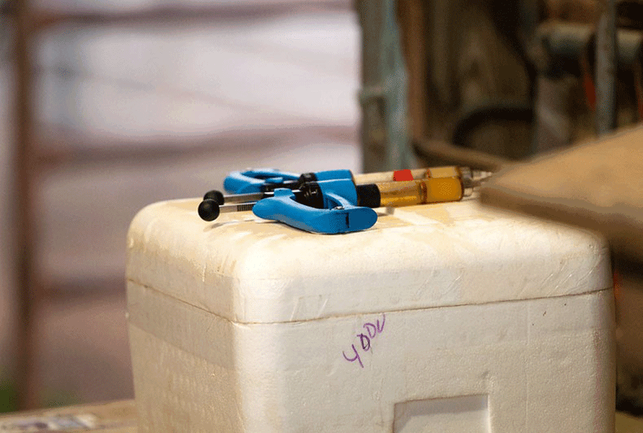 medicine cooler