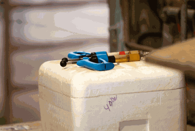 medicine cooler
