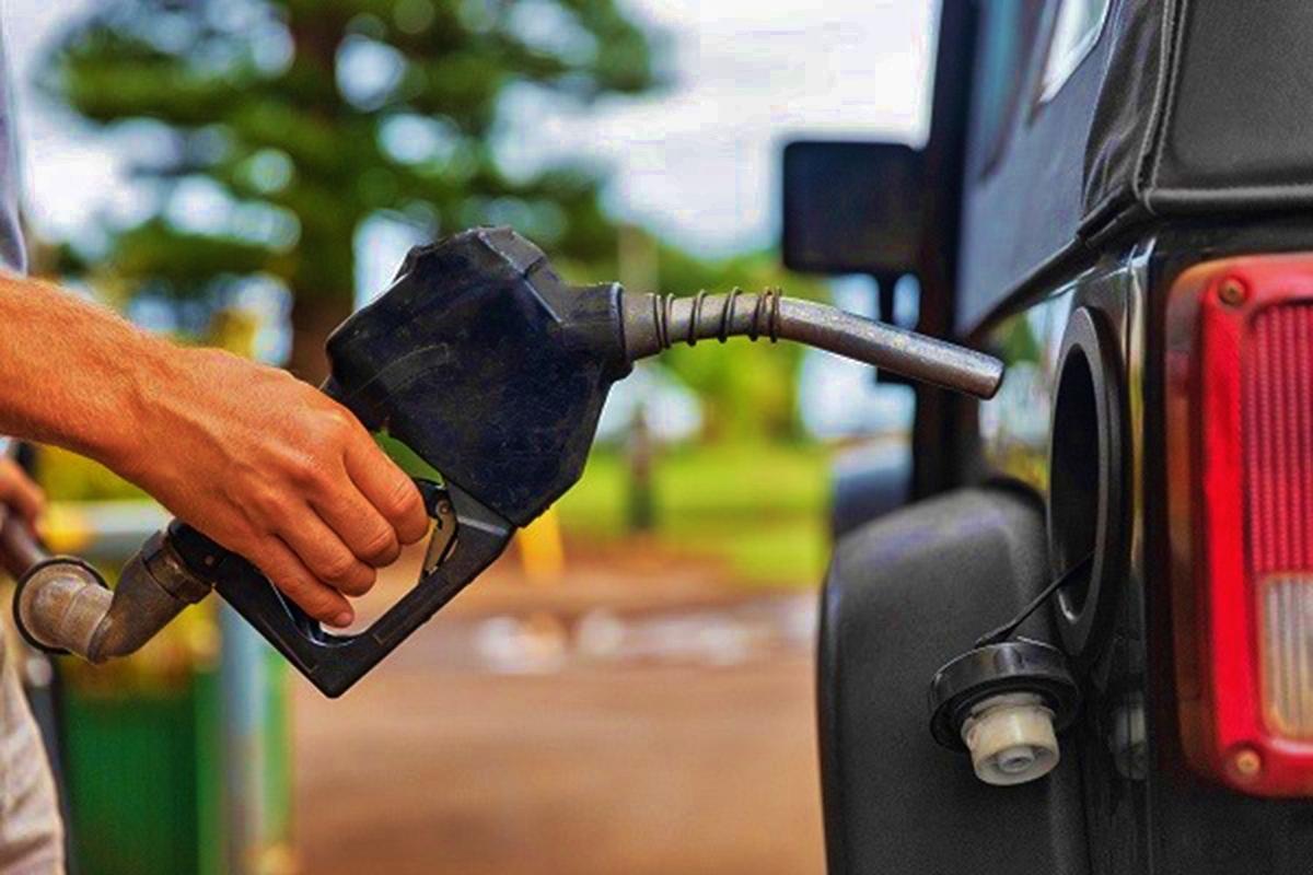 Gasoline consumption most interesting chart