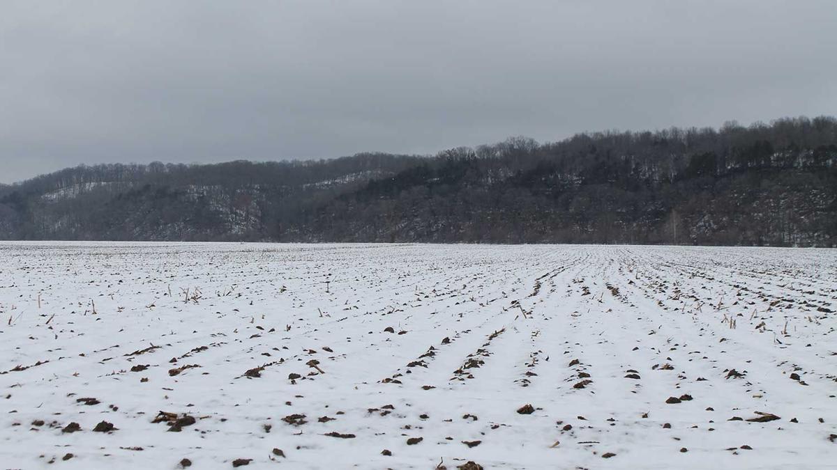 Snow covered field