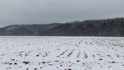 Snow covered field