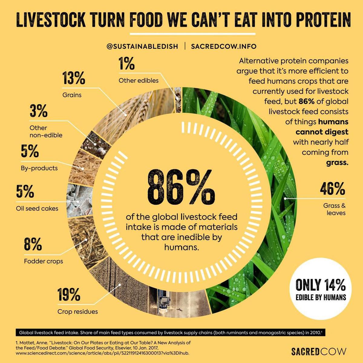 Livestock Turn Food We Can't Eat Into Protein