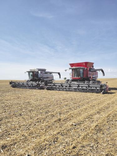 CW Tiffanty worked.jpg