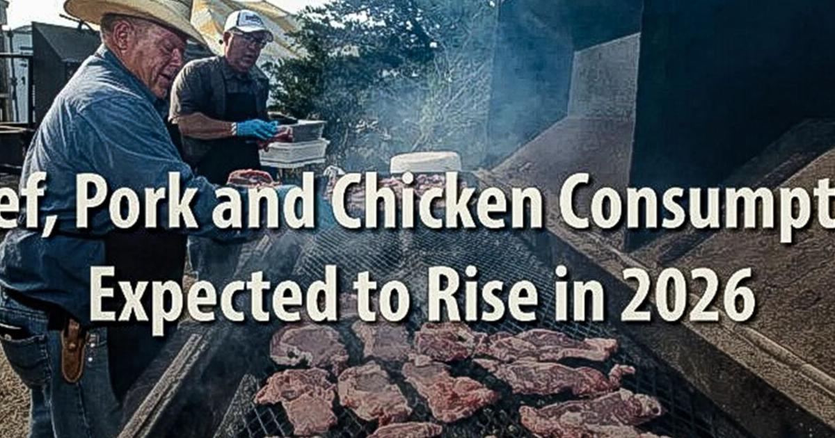 Meat consumption increases steadily