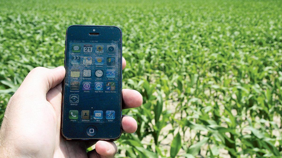 hand holding iphone in corn