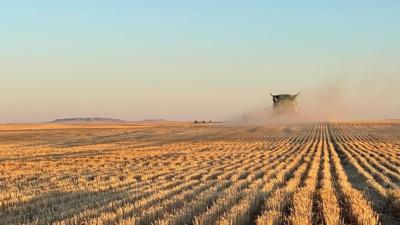 Johnsons prep for winter wheat planting