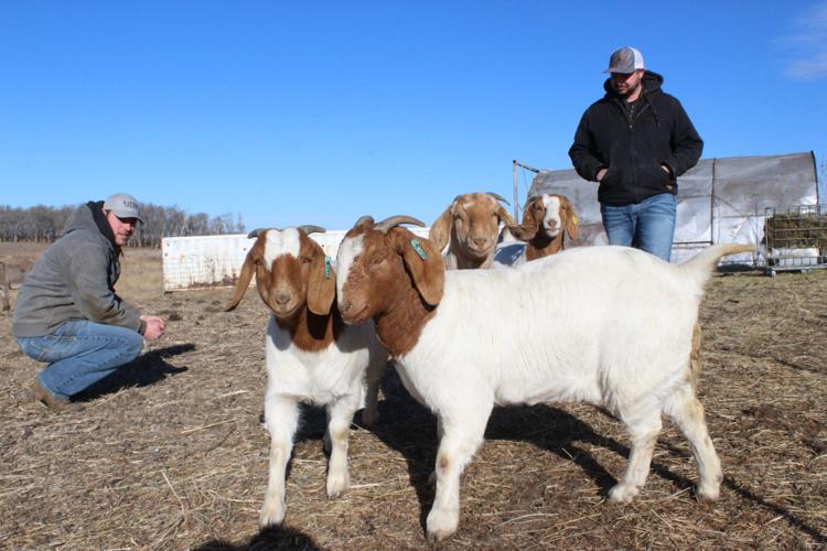 LZ Livestock (84).JPG