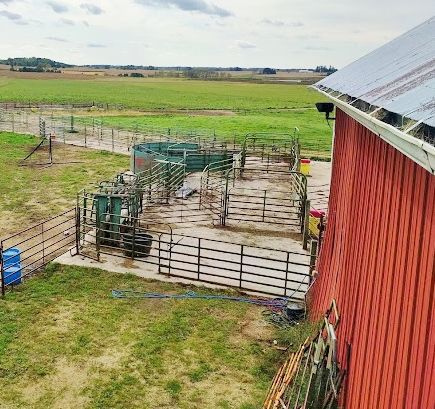 Heavy-use area for calf processing