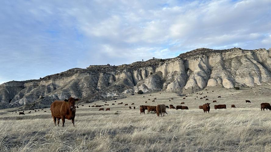 Schuler Leopold Award 4.JPG