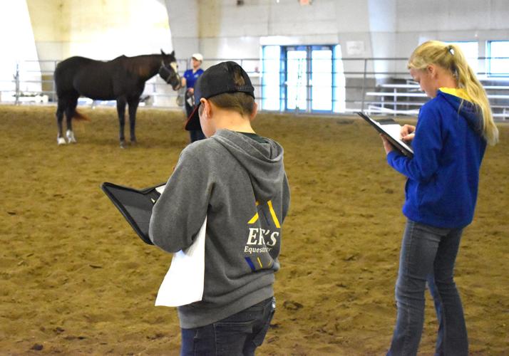4H horse judging teaches lifelong lessons