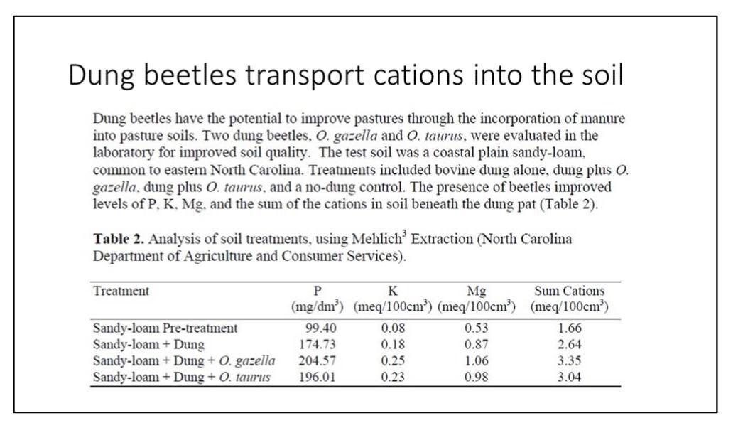 Dung Beetles transport cations