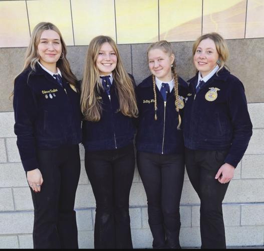 PPR Gittlein (3).jpeg