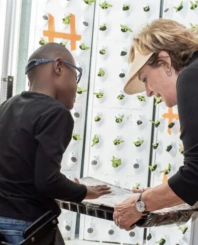 Vertical farming projects growing in popularity