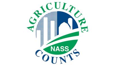 Image result for usda ag counts