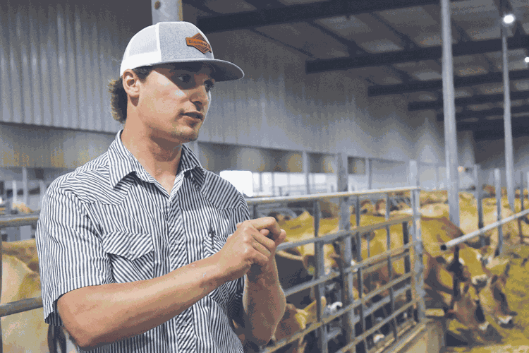 Orland-Ridge-Dairy--(57)-web.gif